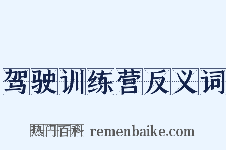 驾驶训练营反义词是什么意思的图片